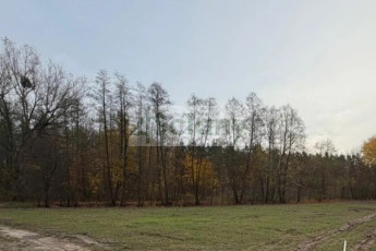 Działka Sprzedaż Rozalin