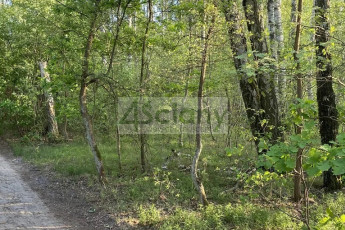 Działka Sprzedaż Marynin