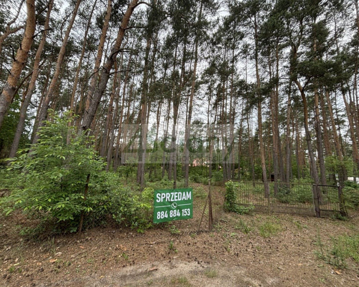 Działka Sprzedaż Nowe Załubice