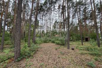 Działka Sprzedaż Nowe Załubice