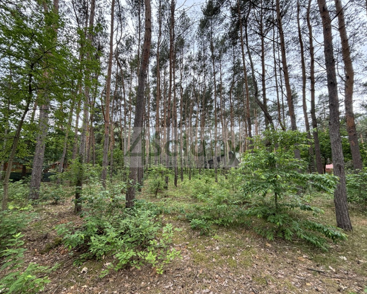 Działka Sprzedaż Nowe Załubice