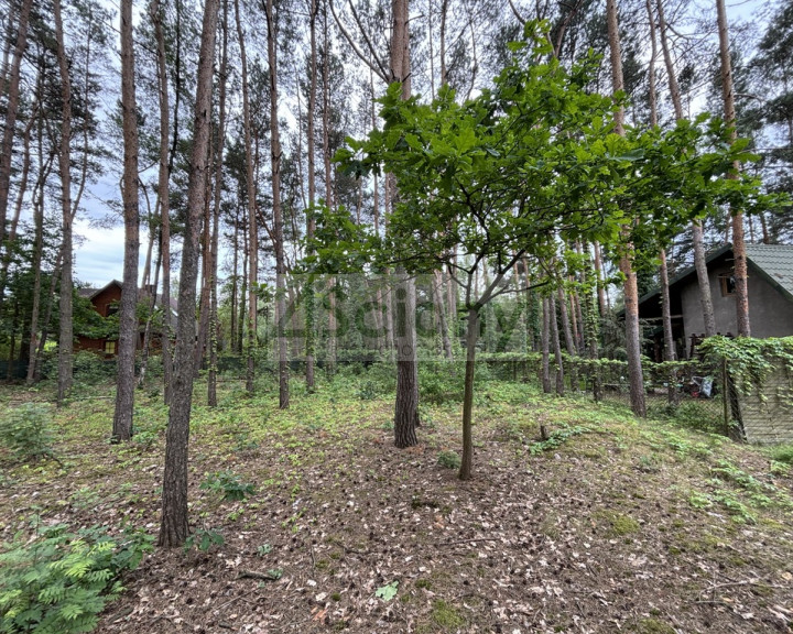 Działka Sprzedaż Nowe Załubice