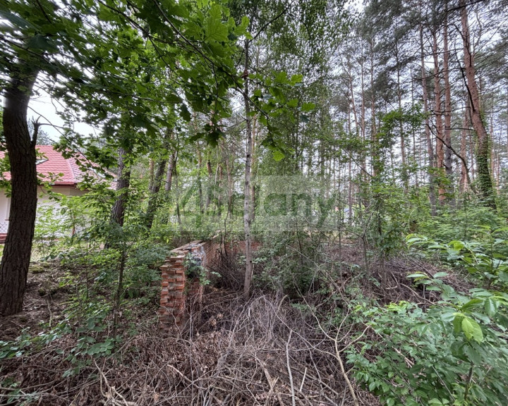 Działka Sprzedaż Nowe Załubice