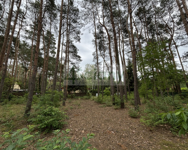 Działka Sprzedaż Nowe Załubice