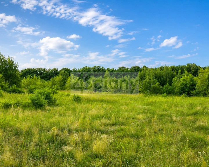 Działka Sprzedaż Runów