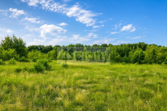 Działka Sprzedaż Runów