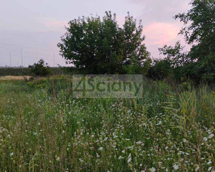 Działka Sprzedaż Nowa Wola