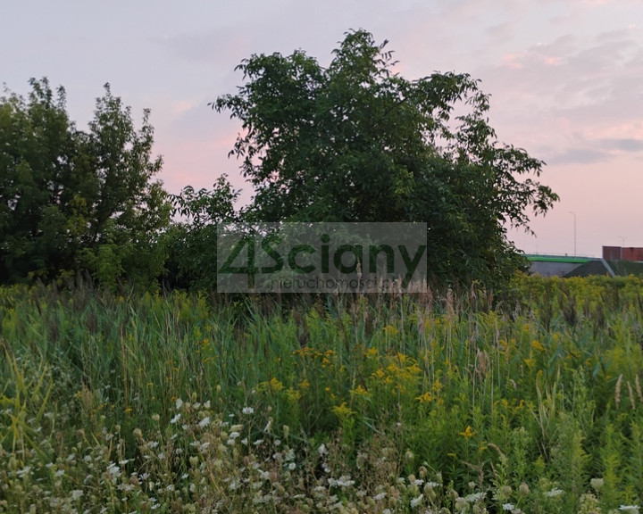Działka Sprzedaż Nowa Wola