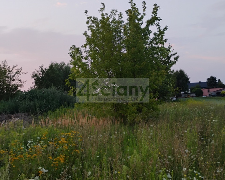 Działka Sprzedaż Nowa Wola
