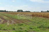 Działka Sprzedaż Nowe Faszczyce