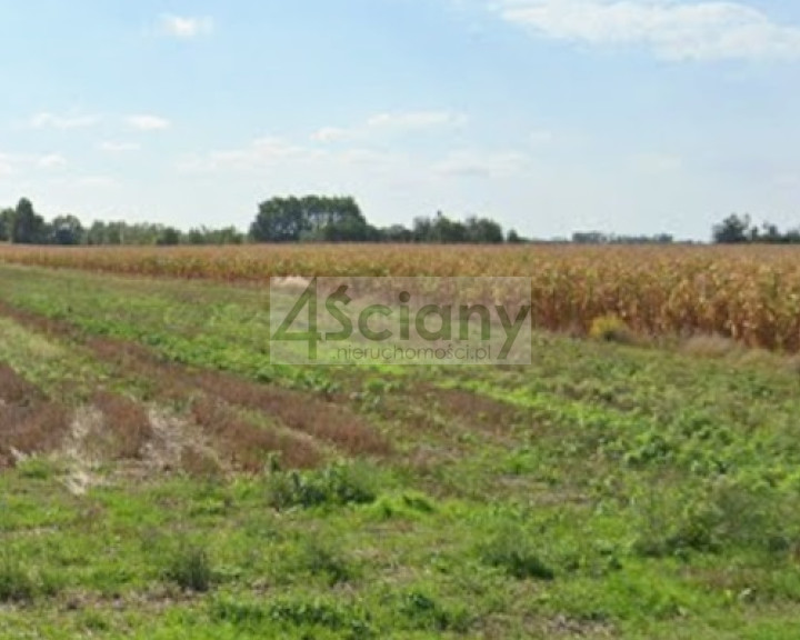 Działka Sprzedaż Nowe Faszczyce