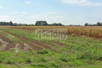 Działka Sprzedaż Nowe Faszczyce