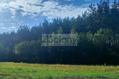 Działka Sprzedaż Adamowizna