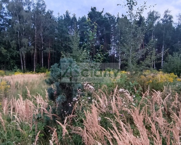 Działka Sprzedaż Osowiec