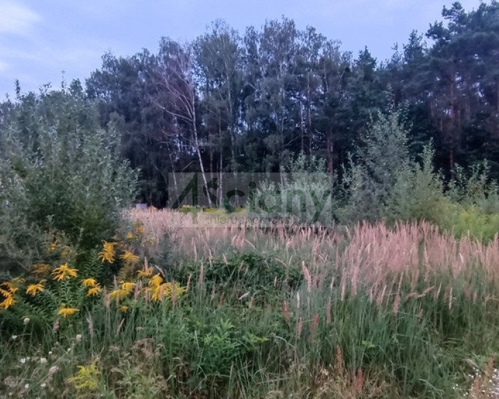 Działka Sprzedaż Osowiec