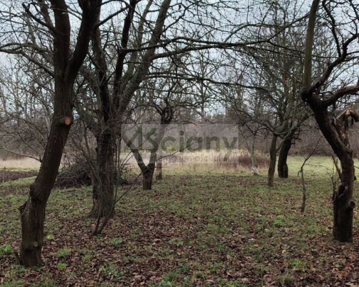 Działka Sprzedaż Warszawa Białołęka