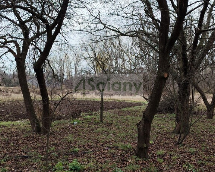 Działka Sprzedaż Warszawa Białołęka