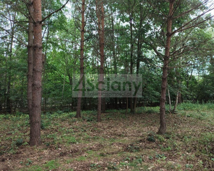 Działka Sprzedaż Komorów
