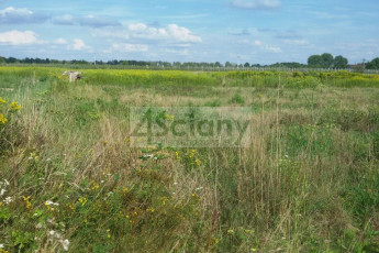 Działka Sprzedaż Duchnów