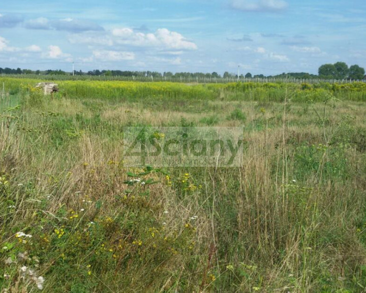 Działka Sprzedaż Duchnów