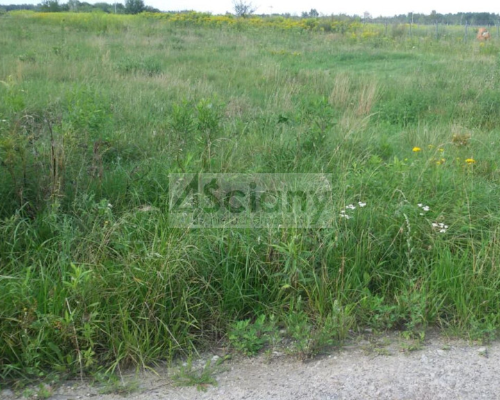 Działka Sprzedaż Duchnów
