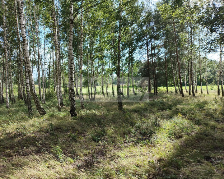 Działka Sprzedaż Gawartowa Wola