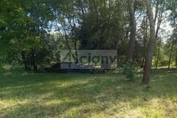 Działka Sprzedaż Kanie
