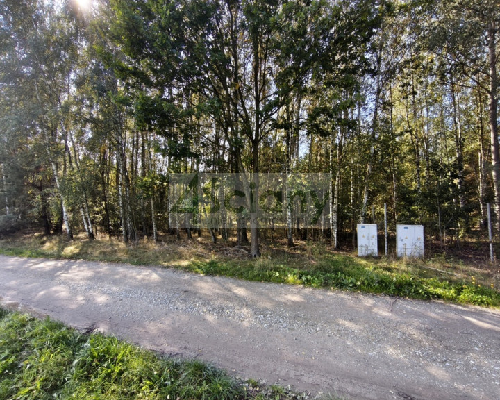 Działka Sprzedaż Zaręby