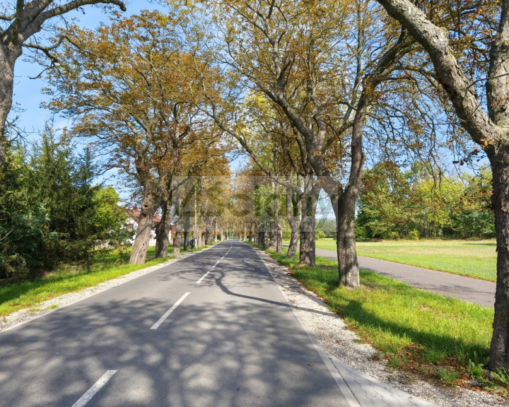 Działka Sprzedaż Zaręby