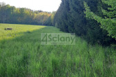 Działka Sprzedaż Rusiec