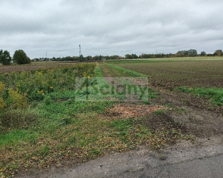 Działka Sprzedaż Kampinos A