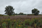 Działka Sprzedaż Kampinos A