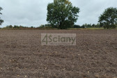 Działka Sprzedaż Kampinos A
