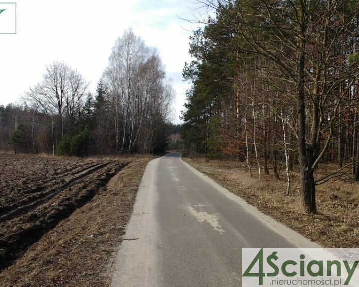 Działka Sprzedaż Kazuń Polski