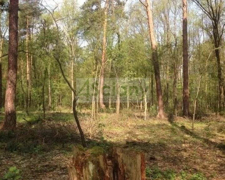 Działka Sprzedaż Sękocin-Las