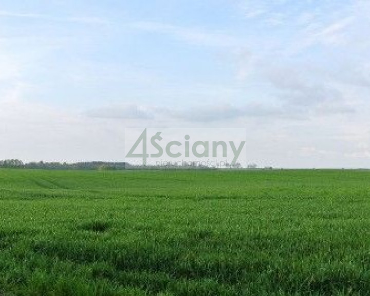 Działka Sprzedaż Topolin
