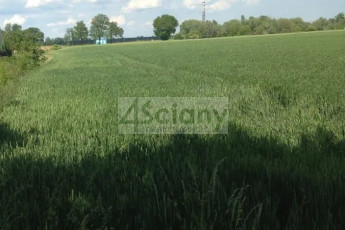 Działka Sprzedaż Kotowice