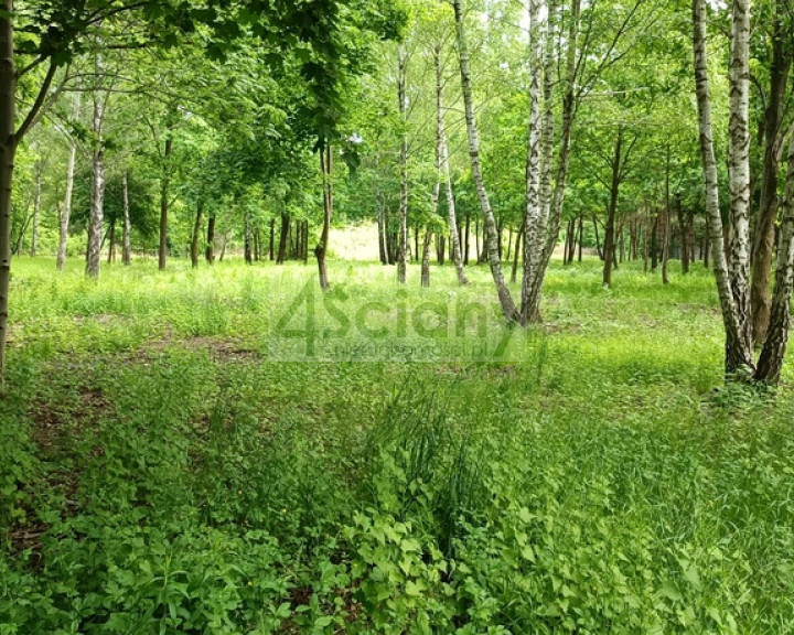 Działka Sprzedaż Grodzisk Mazowiecki