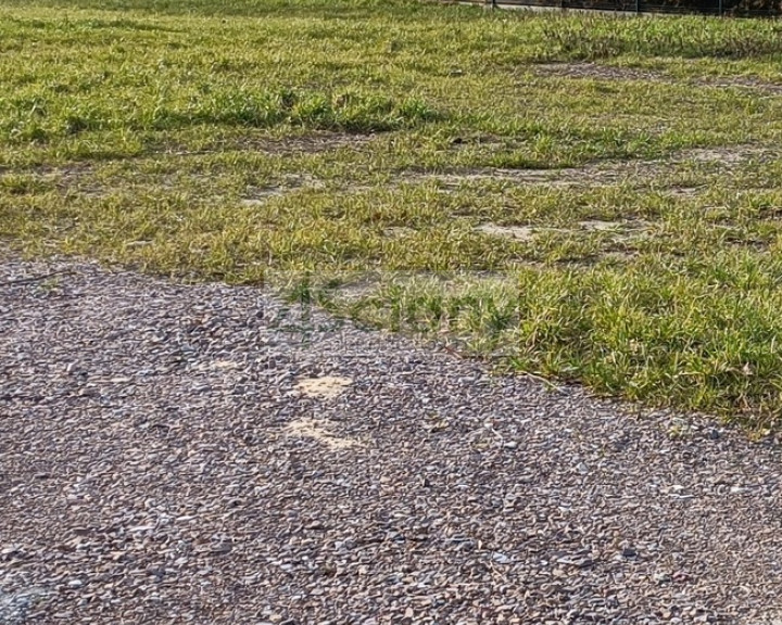 Działka Sprzedaż Grodzisk Mazowiecki