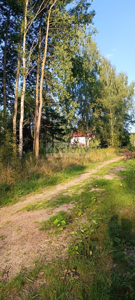 Działka Sprzedaż Czarny Las
