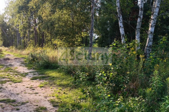 Działka Sprzedaż Czarny Las