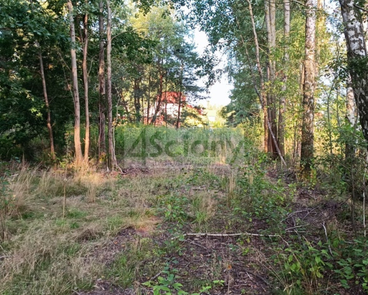 Działka Sprzedaż Czarny Las