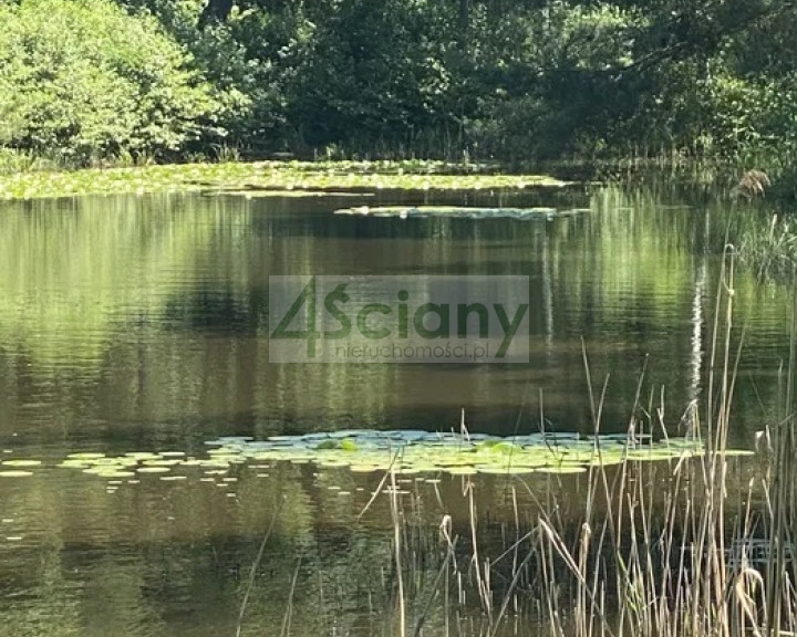 Działka Sprzedaż Janinów