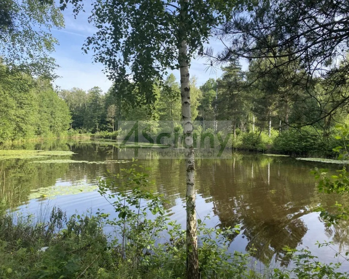 Działka Sprzedaż Janinów