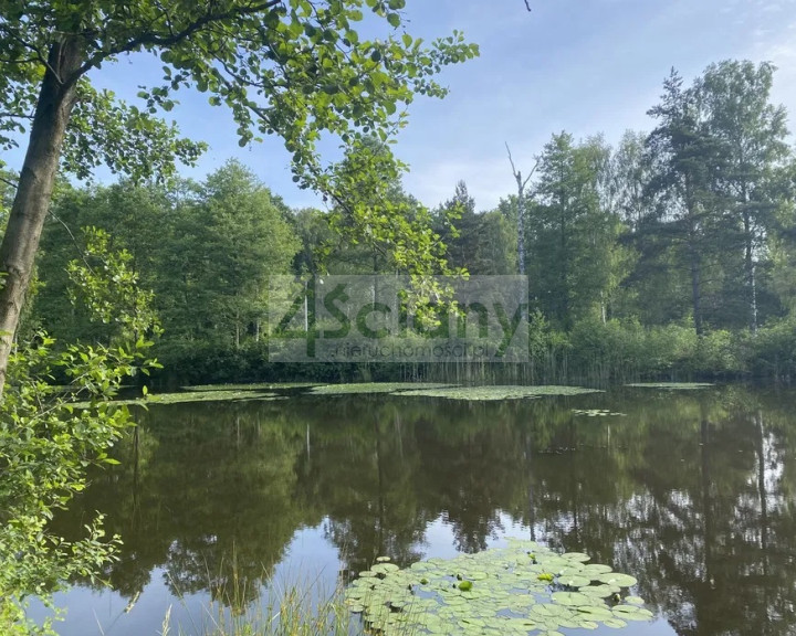 Działka Sprzedaż Janinów