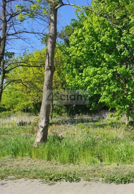 Działka Sprzedaż Parzniew