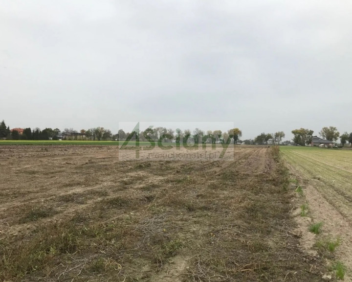 Działka Sprzedaż Płochocin