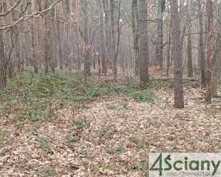 Działka Sprzedaż Sękocin-Las