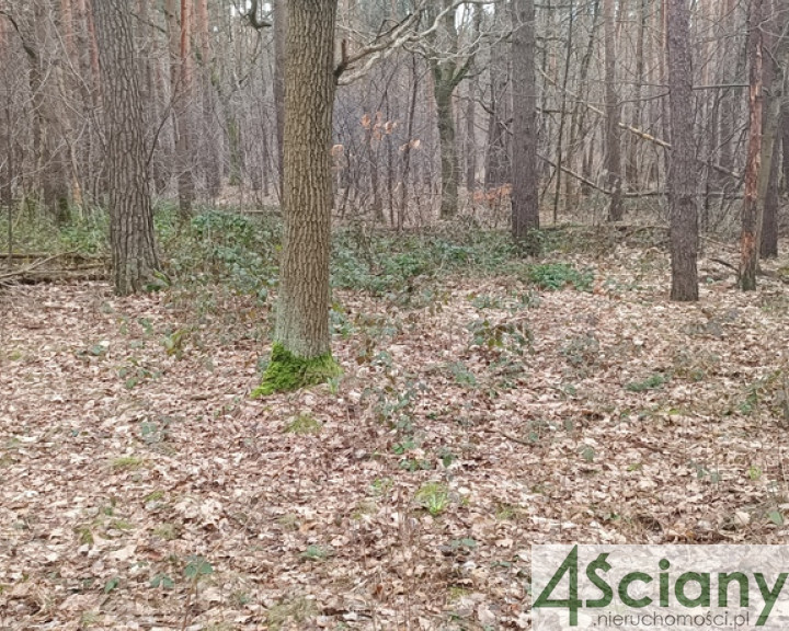 Działka Sprzedaż Sękocin-Las